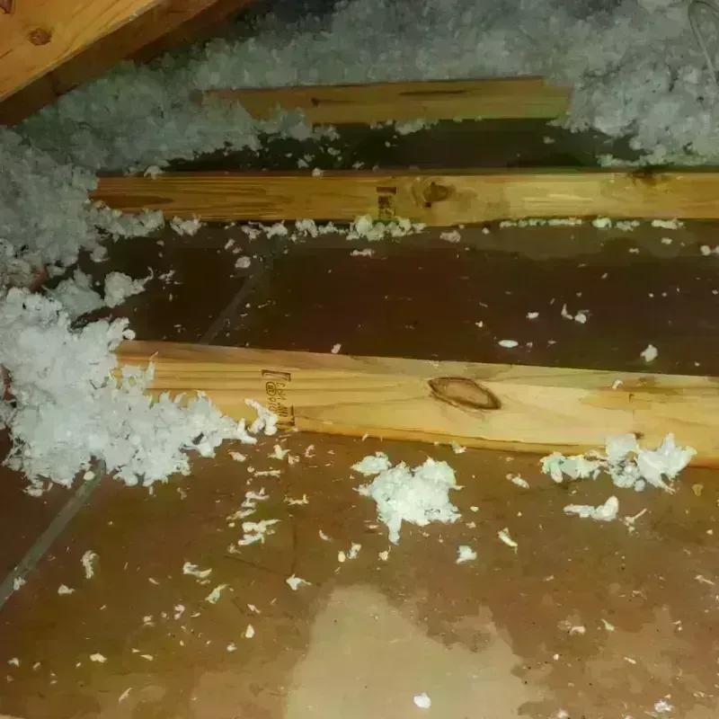 Attic Water Damage in Chelsea, ME