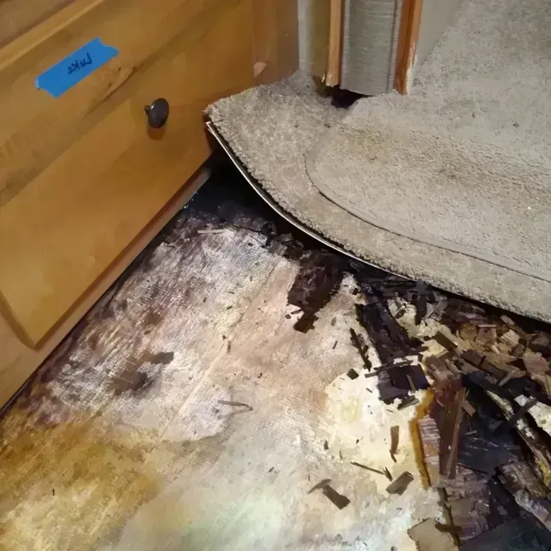 Best Wood Floor Water Damage Service in Chelsea, ME